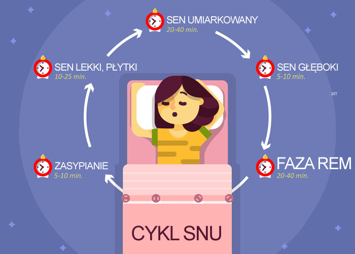 Cykl snu, faza rem
